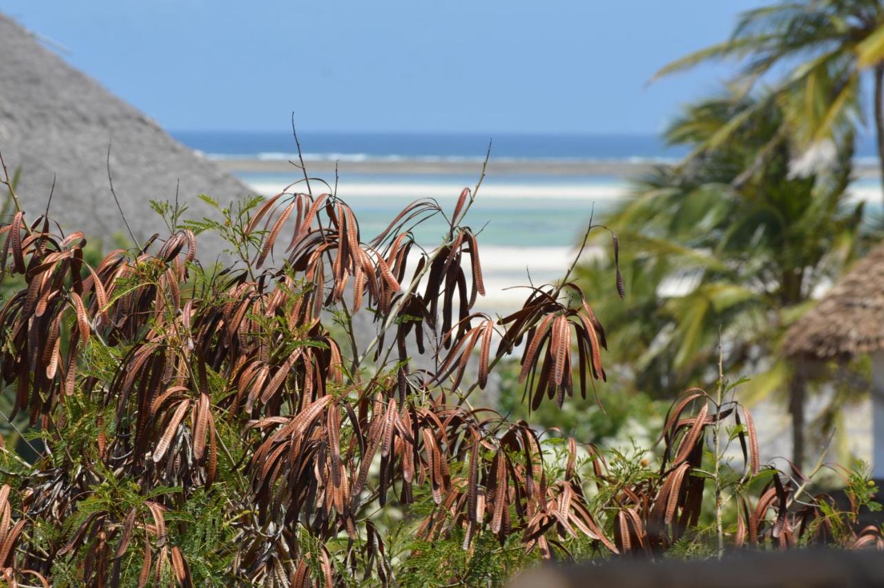 Pole Pole Beach House Watamu Zewnętrze zdjęcie